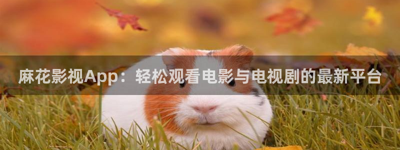 橘子視頻蘋果版本：麻花影視App：輕松觀看電影與電視劇的最新平臺