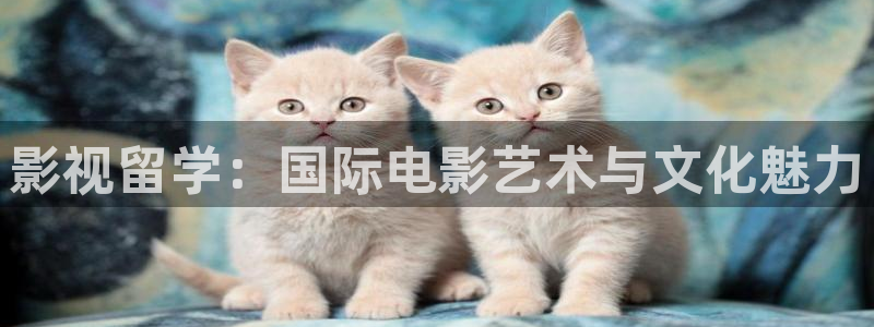 橘子的視頻：影視留學：國際電影藝術與文化魅力