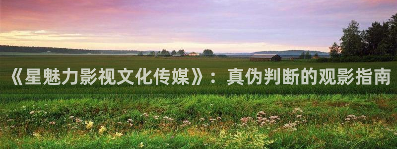 橘子和桔子有什么區別：《星魅力影視文化傳媒》：真偽判斷的觀影指南
